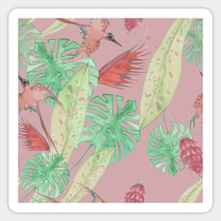 Pink Tropical Birds Sticker